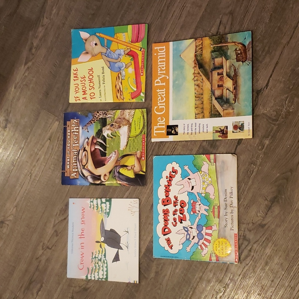 Lot of 5 picture books WILL SEPERATE